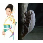 グソクたんとラスボス夢の競演、ニコニコが年越しカウントダウンLIVE。