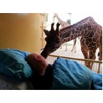 【写真】キリンが元飼育員に別れのキス、末期がん男性と&ldquo;心の交流&rdquo;。