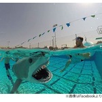 プールで泳ぐ&ldquo;本物そっくりのサメ&rdquo;