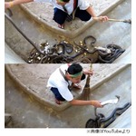 ぽいぽいヘビ放る男性に驚き、数百匹のコブラがいる飼育舎を淡々とお掃除。