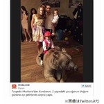 子どもの誕生日にクマ呼び炎上、サッカー選手の父は冴えない本業も槍玉。