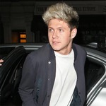 公演中の1Dが物投げられケガ、「ステージに投げないで」とファンに懇願。