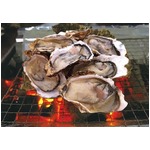 昭和記念公園で牡蠣食べ放題、3月30日まで「かき小屋」がオープン。