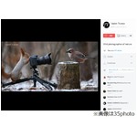 小鳥撮影する&ldquo;写真家&rdquo;のリス、「リスの雪遊び」カメラマンが新作。