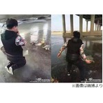 亀を使った&ldquo;謎の儀式&rdquo;に非難、拝んだ後に力いっぱい放り投げる。