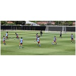 なでしこ、４日初戦