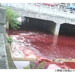 川が血の色に&hellip;本当に血だった