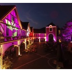 神戸の街並み一望、神戸布引ハーブ園に「神秘の光」