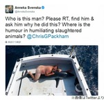 &ldquo;サメと全裸で写真&rdquo;大炎上、犯人捜し続く