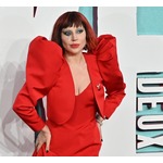 &ldquo;アリアナ・グランデに突進&rarr;投獄&rdquo;の迷惑系インスタグラマー、今度はガガ公演から退場