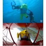 ふなっしー米本土で難題挑戦、特番放送＆ダイビング挑戦の動画公開。