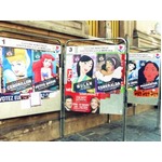 【写真】&ldquo;プリンセス&rdquo;な選挙ポスター、ディズニーキャラが公約も。