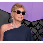 シャロン・ストーン、脳卒中で倒れている間に&ldquo;搾取&rdquo;され「29億円の貯蓄がゼロに」