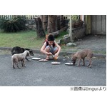 息子が散歩中にしていたこと、こっそり後を付けた父親が見た&ldquo;優しさ&rdquo;。