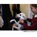 愛犬との&ldquo;再会&rdquo;に少女大泣き、ドバイから英国へ引っ越しで離ればなれ。