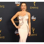 世界で最も稼ぐTV女優、受精卵から訴えられる