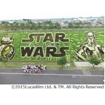 「スター・ウォーズ」田んぼアートが見頃、ストームトルーパーも視察。