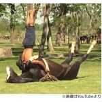 【写真】&ldquo;馬ヨガ&rdquo;の従順すぎるポーズ、馬自身はどう思ってる？