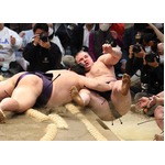 綱とり安青錦に土＝大の里は２連敗―大相撲春場所２日目