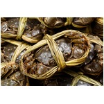 上海蟹&ldquo;爆買い&rdquo;して川に放流、何者かによる謎の行動が注目浴びる。