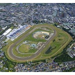 JRAが&ldquo;無観客競馬&rdquo;実施発表、ウインズも当面休止