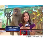 女子アナに&ldquo;エロヒヒ&rdquo;の洗礼、生中継で胸触られながらリポート。