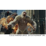 ロック様が日本語で&ldquo;巨獣&rdquo;主演作アピール