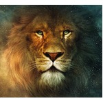 「ナルニア国物語」第4弾の映画化計画が前進