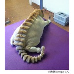 猫に&ldquo;恐竜カット&rdquo;で非難殺到「バカな飼い主」「かわいそうに」。