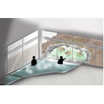 カピバラのお風呂見ながら入浴、間近で観察できる全国初の温泉施設。