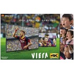 バルサと綾瀬はるかが&ldquo;競演&rdquo;、パナソニック2年ぶり「ビエラ4K」CM。