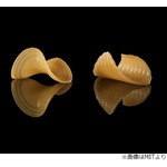 水分が加わると&ldquo;立体&rdquo;になるパスタ