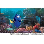 「ニモ」続編の初映像が解禁、忘れんぼうドリーが思い出したことは&hellip;。