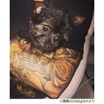 J・ビーバーが新しい犬を飼う、腕の中でくつろぐ写真をInstagramで公開。