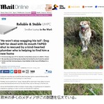 口と足縛られ捨てられたわんこ