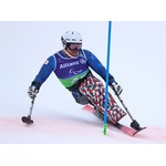 アルペン男子の森井は５位