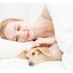 「&ldquo;飼い犬と添い寝&rdquo;犬の健康にリスク」と獣医が指摘