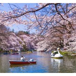 &ldquo;住みたい街&rdquo;吉祥寺が1位の座を奪還