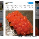有吉弘行が「すじこ」「どどすこ」ツイート