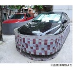 中国で奇妙な車体カバー&ldquo;ロングスカート&rdquo;流行