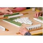 麻雀見るとひきつけ起こす犬、かまってくれない飼い主にストレスか。