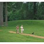 1日わずか4000歩で早期死亡リスク減、推奨&ldquo;1万歩&rdquo;よりずっと少なくても足りる