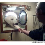 ワッフルのにおいに誘われた？&ldquo;珍客&rdquo;現る