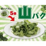 デニーズがパクチー5倍量の限定「山パク」