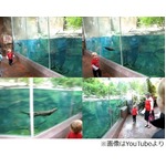 男の子とカワウソが&ldquo;追いかけっこ&rdquo;、かわいい動画にほのぼのコメント。