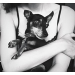 高岡早紀、愛犬の死を報告「優しいおばあちゃんでした」