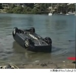 突然落ちてきた巨大クモ、驚いて車ごと海転落