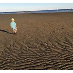 オザケン19年ぶりシングルが自己最高位タイ2位