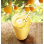 マックシェイクに甘夏みかん味、清涼感溢れる初夏にピッタリの味わい。