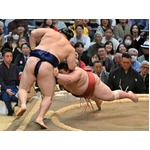 支度部屋＝大相撲春場所